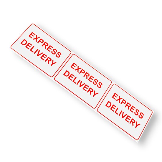 Etykieta EXPRESS DELIVERY 148x130 mm - 100 szt.