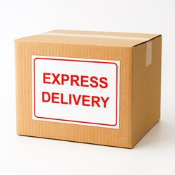 Etykieta EXPRESS DELIVERY 148x130 mm - 100 szt.